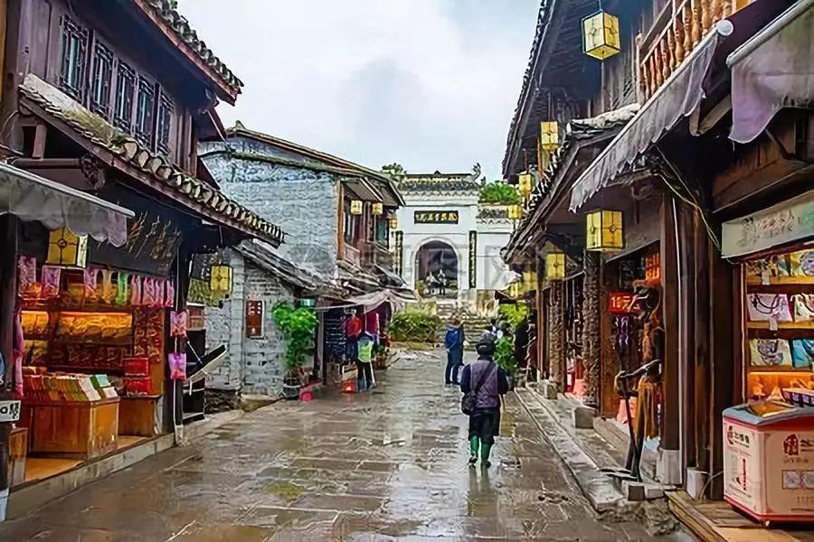 杜鹃花冬季怎么养-智慧问答网,轻松解答你的疑惑